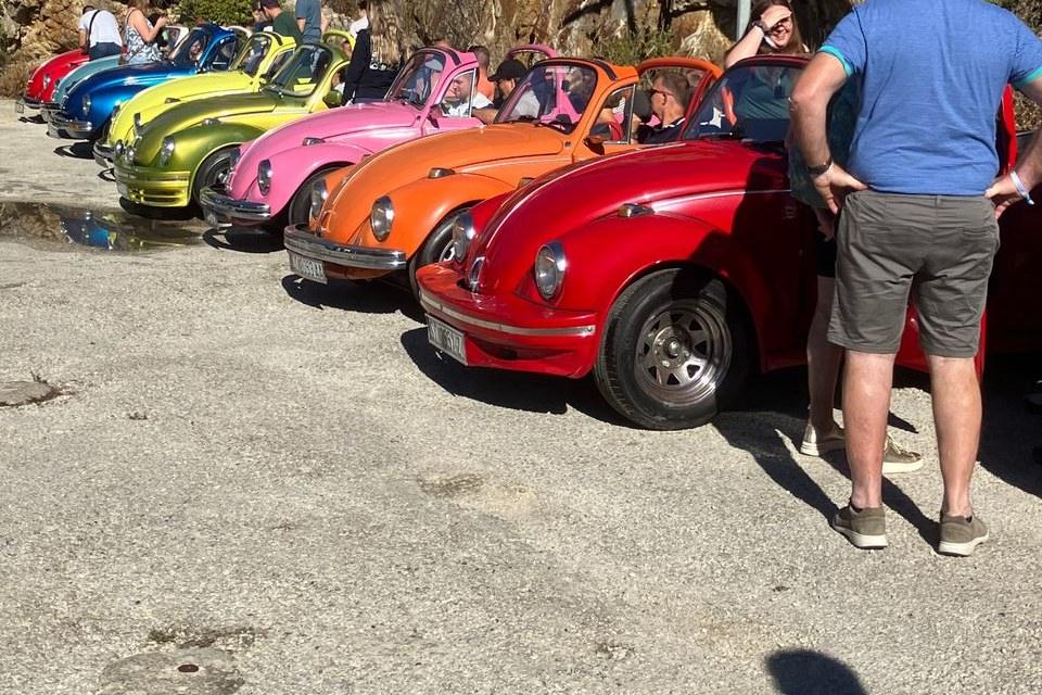 Kleurrijke Kevers klaar voor de tocht over Hvar